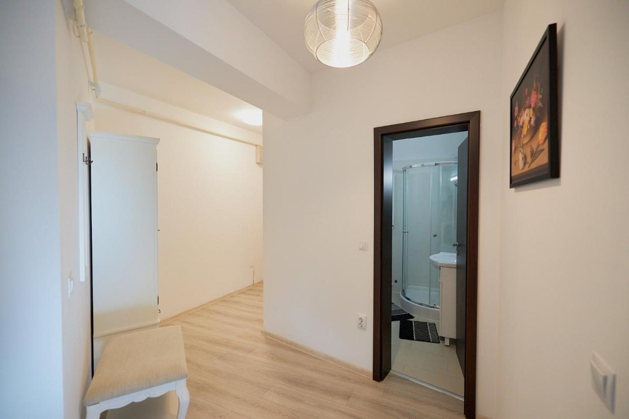 Alessandro Home 2 Luxury Centru Palas Mall Iasi Moldovei 30 Εξωτερικό φωτογραφία