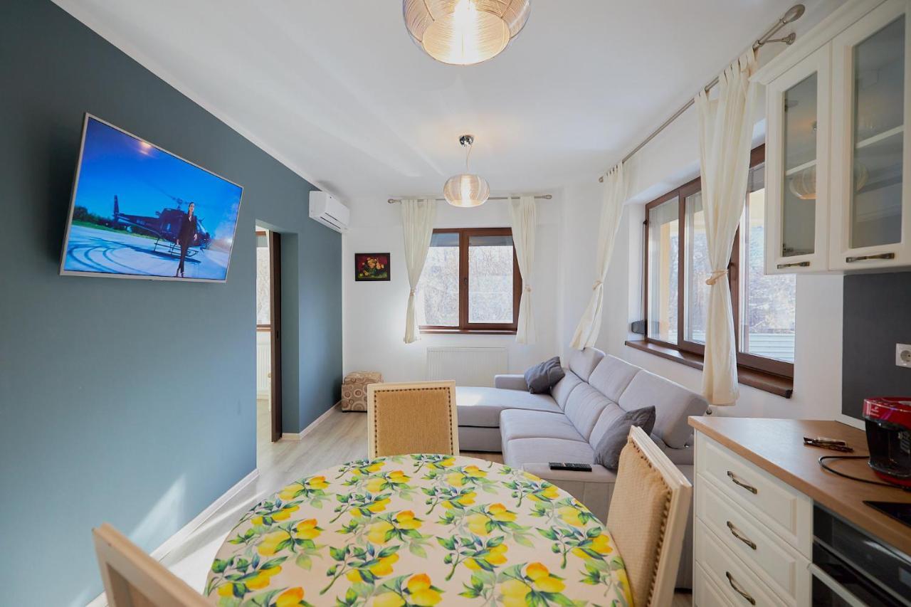Alessandro Home 2 Luxury Centru Palas Mall Iasi Moldovei 30 Εξωτερικό φωτογραφία